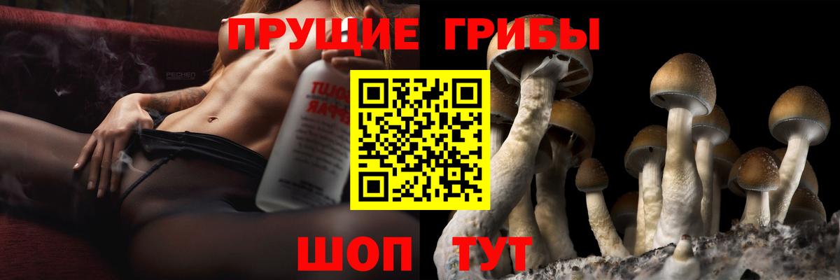 Галлюциногенные грибы Magic Shrooms Губкин