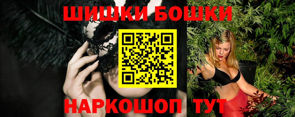 Конопля сатива Губкин